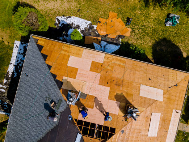 Quick and Trustworthy Emergency Roof Repair Services in Porter Heights, TX