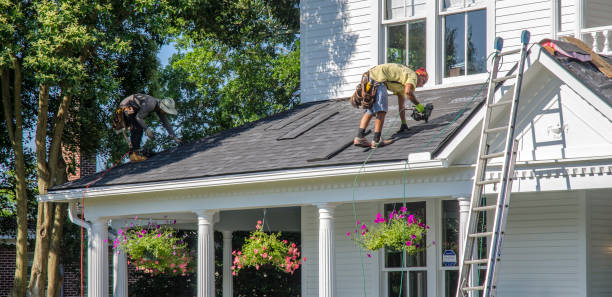 Best Gutter Installation and Roofing  in Porter Heights, TX